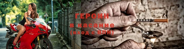 PSILOCYBIN Новодвинск