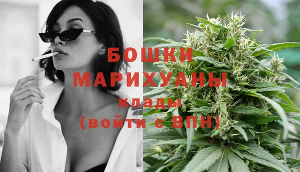 PSILOCYBIN Новодвинск