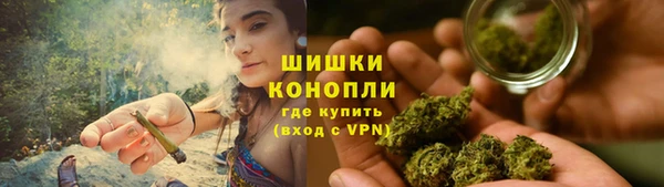 марки lsd Новозыбков
