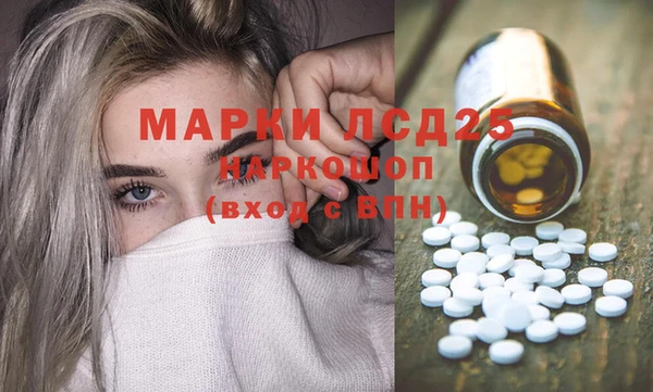 PSILOCYBIN Новодвинск