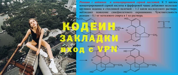 PSILOCYBIN Новодвинск