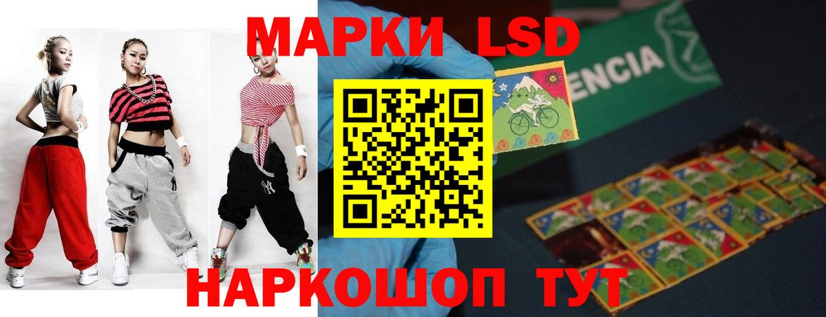 Псилоцибиновые грибы Мурманск